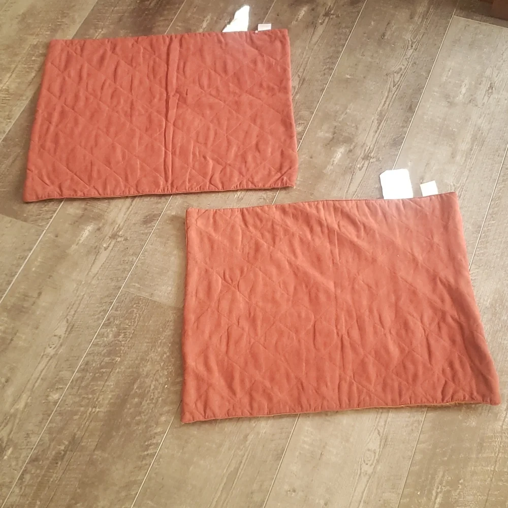 2 Pillow shams cases two sided